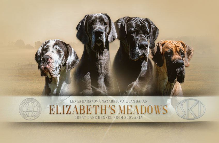 ELIZABETH'S MEADOWS